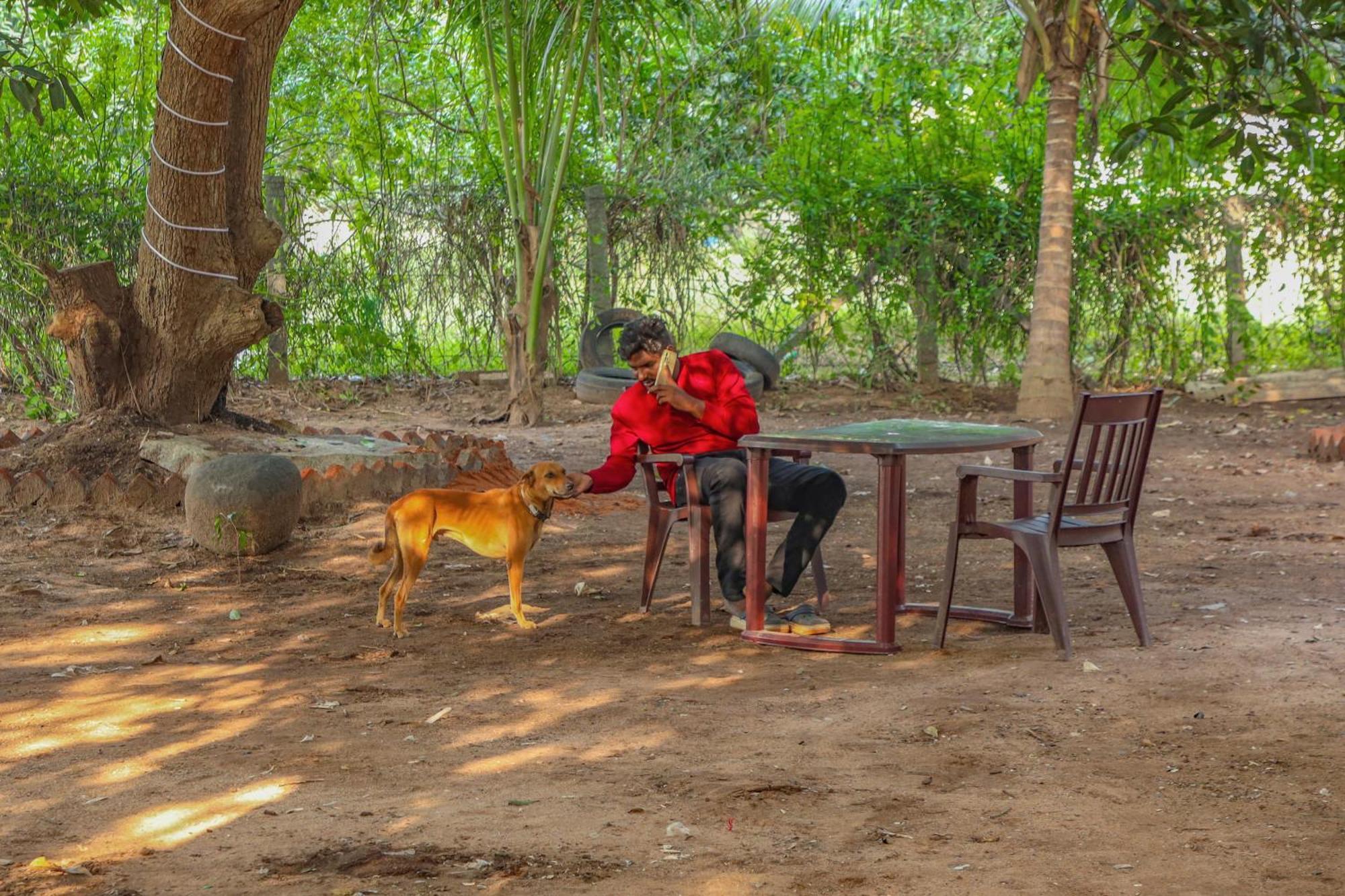 Hotel Bay Walk Residency Auroville Zewnętrze zdjęcie